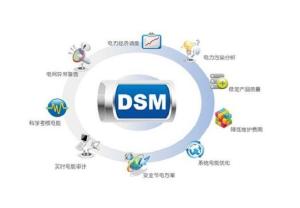 DSM能源管理服務 智能優化，驅動可持續發展的未來